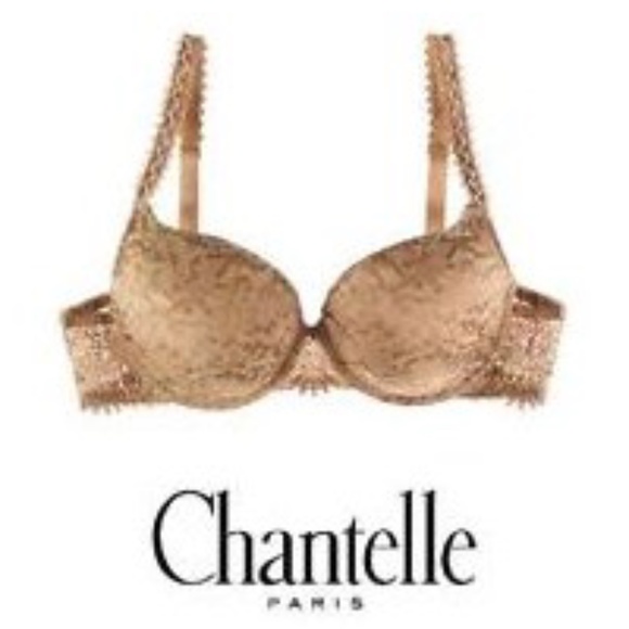 Chantelle Paris Africa Demi Bra Snakeskin Lace 34A - Picture 7 of 9